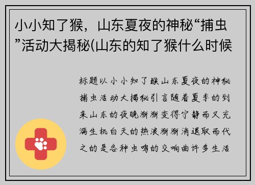 小小知了猴，山东夏夜的神秘“捕虫”活动大揭秘(山东的知了猴什么时候出来)