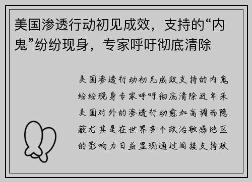 美国渗透行动初见成效，支持的“内鬼”纷纷现身，专家呼吁彻底清除